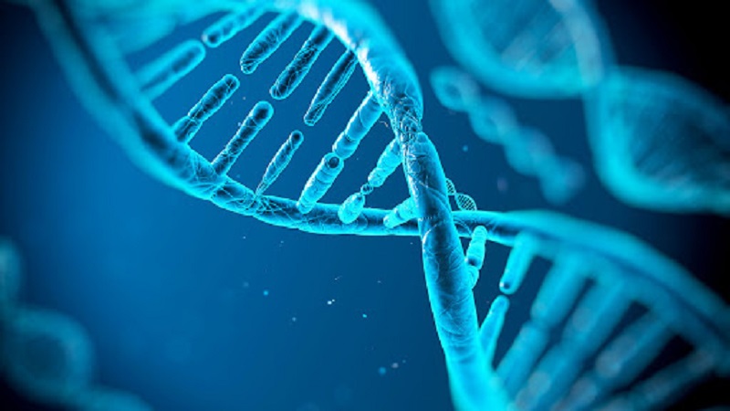 Un nouvel outil conçu pour lutter contre les cancers se révèle efficace contre certains virus