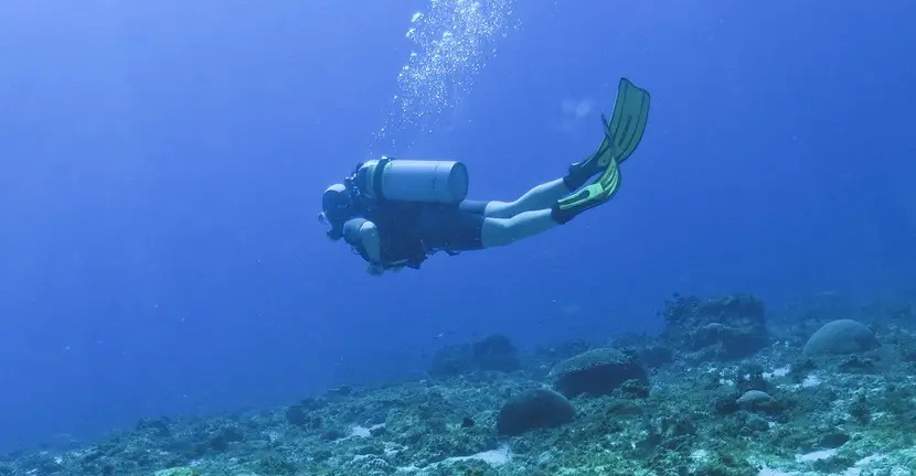 Un plongeur retrouve un « trésor perdu » de plus de 9 millions de FCFA au fond d’un fleuve (vidéo)
