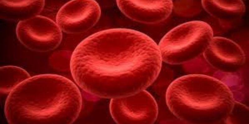 Un signe dans le diagnostic de la leucémie qu’il ne faut pas négliger
