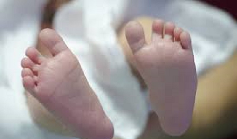 Insolite : des jumeaux nés à 2 ans d’écart