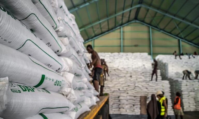 Une cargaison d’engrais destinée au Togo saisie au Ghana