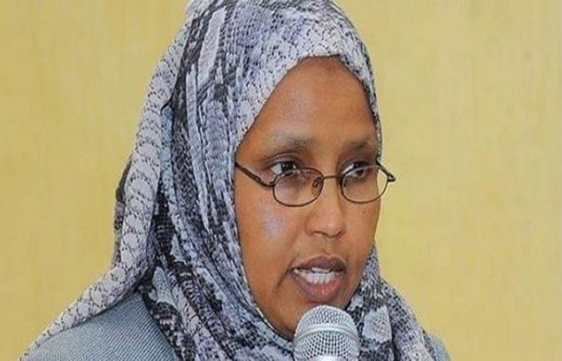 Une femme nommée ministre de la Défense en Ethiopie