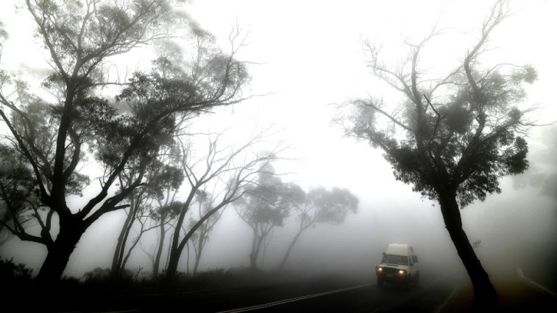 Une grande pluie s’abat (enfin) sur l’Australie après les incendies