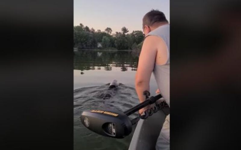 [Vidéo] : Ils sauvent un ourson qui avait la tête coincée dans un bidon
