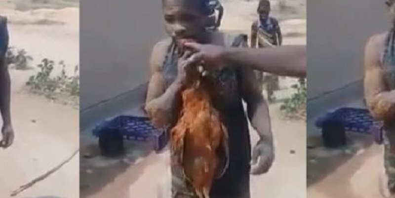 [Vidéo] Un voleur de poule forcé de manger un poulet avec ses plumes comme punition
