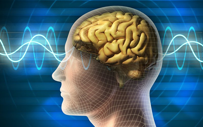 Voici ce qui accélère le vieillissement du cerveau
