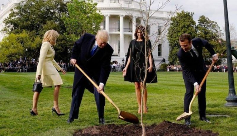 Voici ce qui est arrivé à l’arbre que Macron a offert à Donald Trump comme symbole de leur amitié