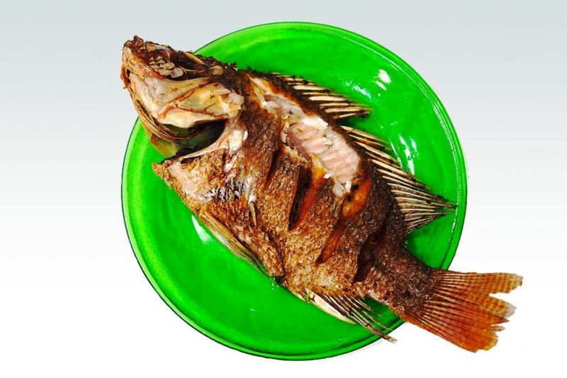 Voici les bons côtés de l’interdiction de l’importation du Tilapia au Togo, selon le ministre Agadazi