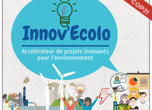 Vos clics pour soutenir les deux projets togolais dans le top 40 du programme Innov’Ecolo 2016