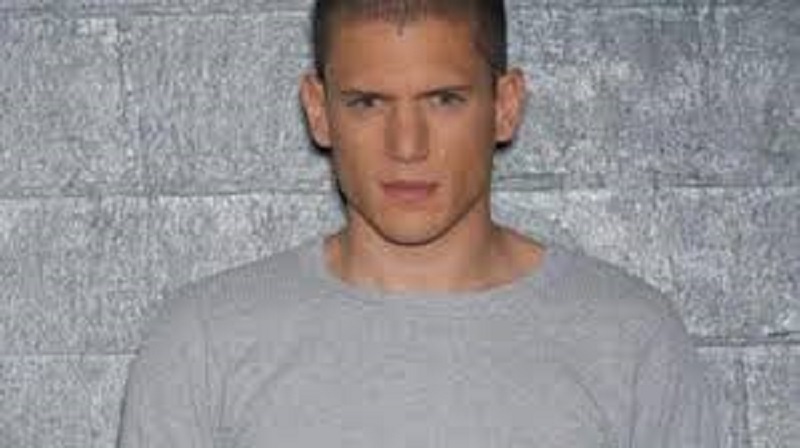 Wentworth Miller : l’acteur célèbre un événement heureux