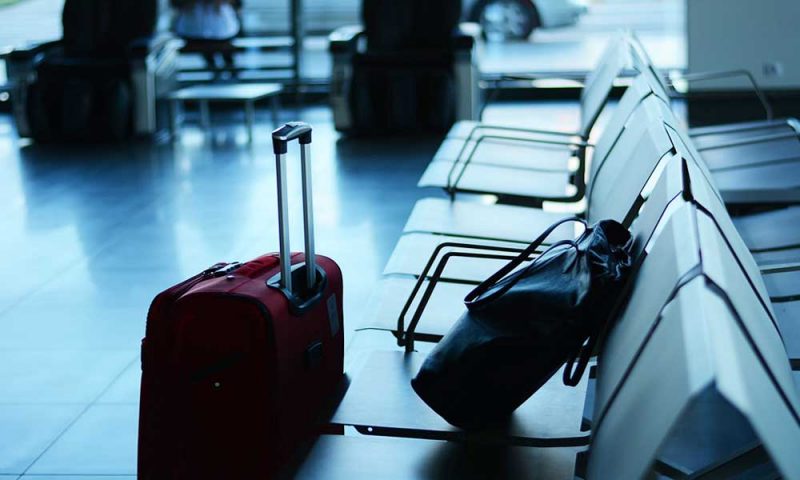 Un homme avec 200 créatures venimeuses tente de monter dans un  avion (photo)