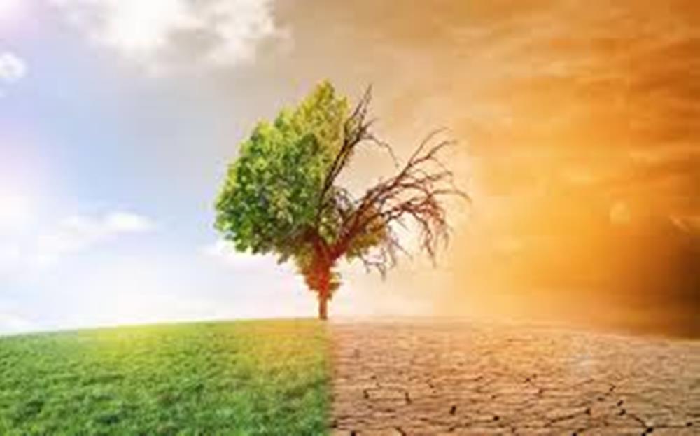 Awesome Foundation lance le Programme de Conservation et de Climat pour individus et organisations