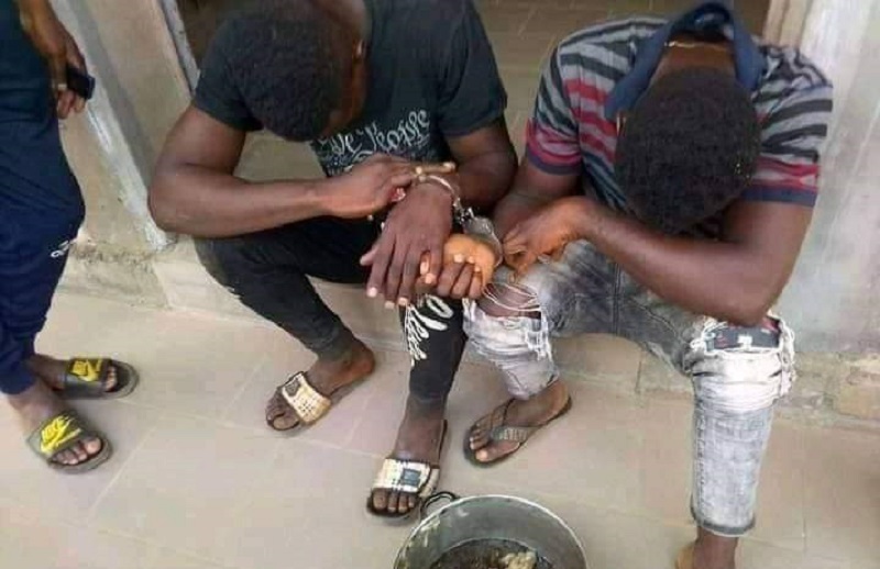 2 jeunes menottés après avoir volé et cuit le poulet du policier du quartier (photo)
