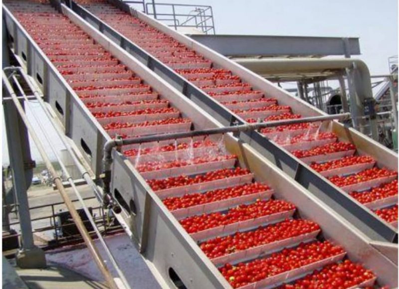 Nigeria : plus rien ne va pour l’usine de tomate de Dangote