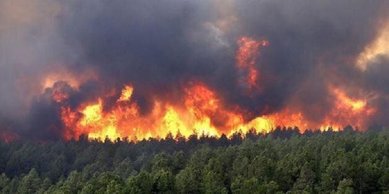 Ecologie : ce qu’ont coûté les 10 plus grosses catastrophes climatiques de 2020