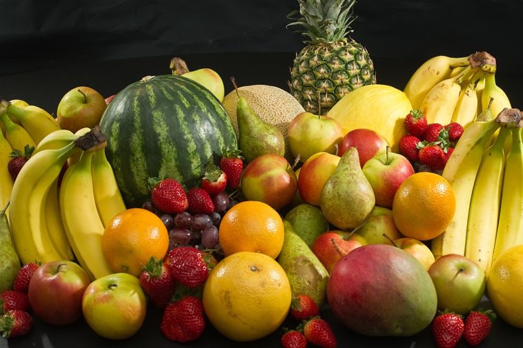 Le Togo renforce son système de contrôle et de certification phytosanitaire