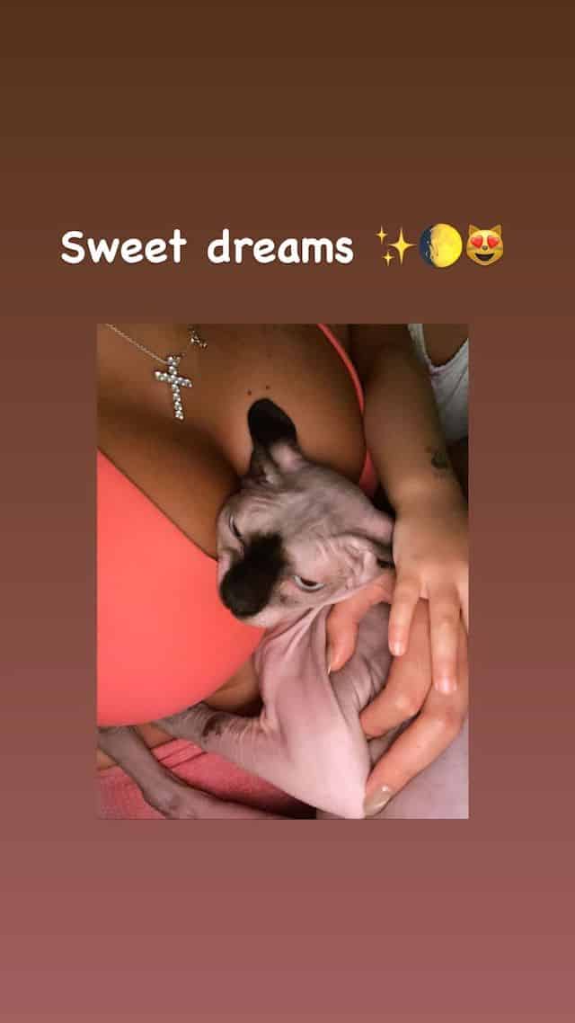 Georgina Rodríguez : son petit chat fait fondre la toile