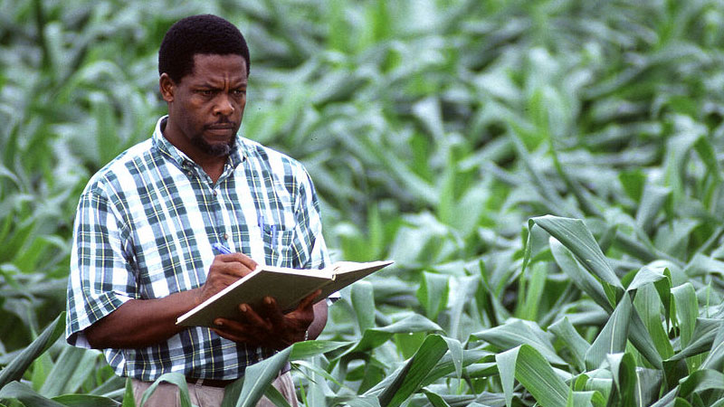 Israël/Agro Studies : les candidatures ouvertes pour les Togolais