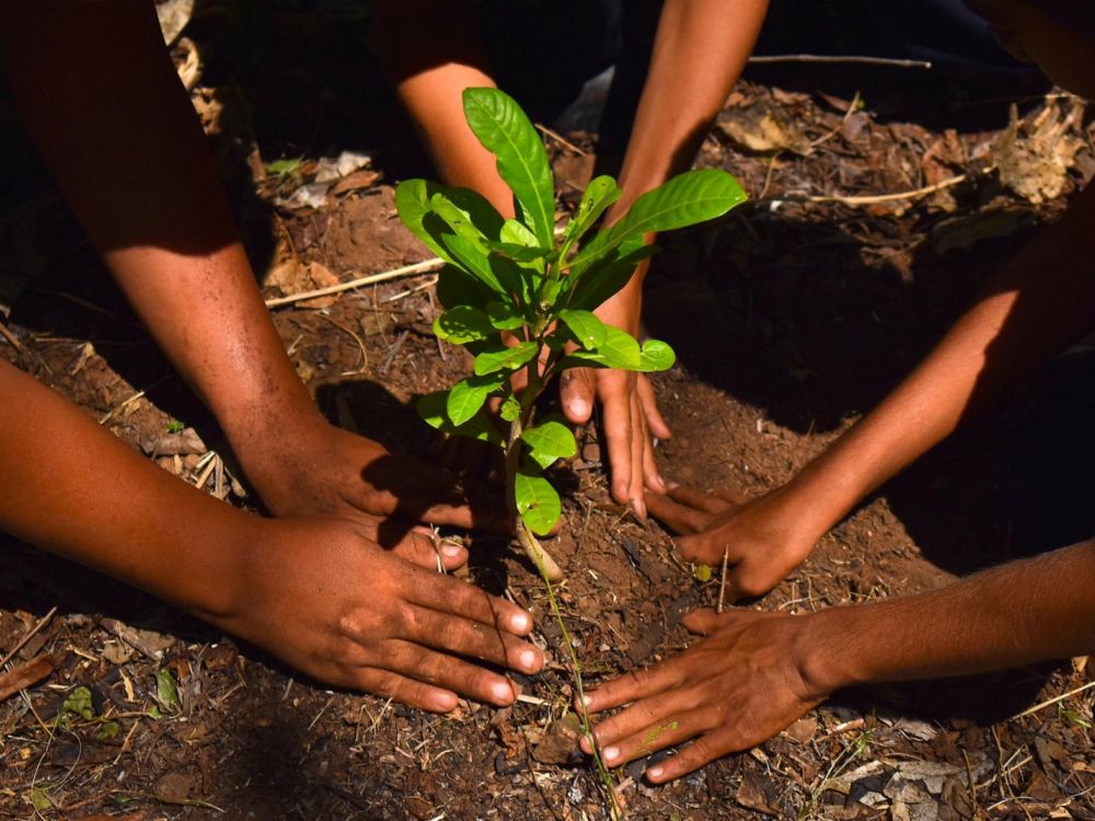 Femmes et changements climatiques : Appel à candidatures pour le prix « Just Climate Solutions»