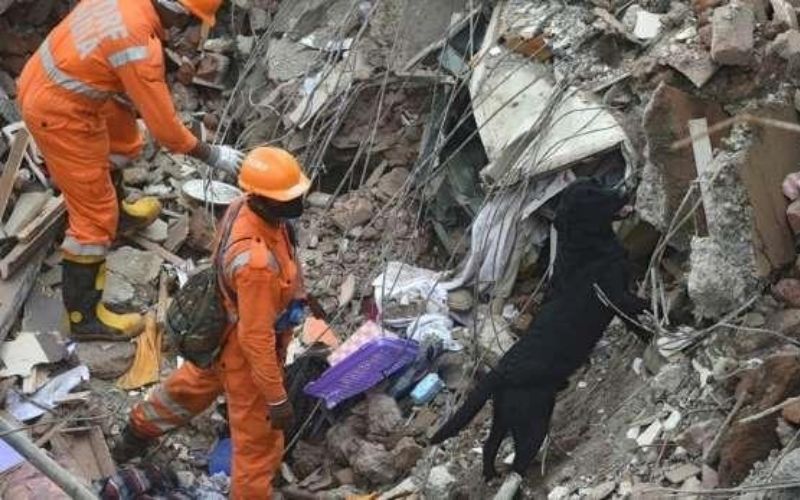 Inde : effondrement d’un immeuble, 16 morts