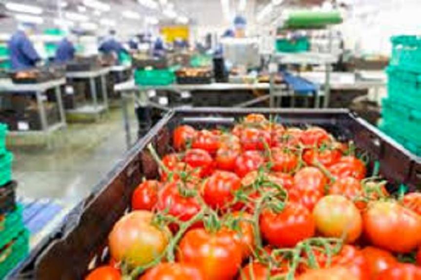 La société chinoise Zhejiang Native Produce s’installe à Lomé pour mieux conquérir l’Afrique de l’Ouest
