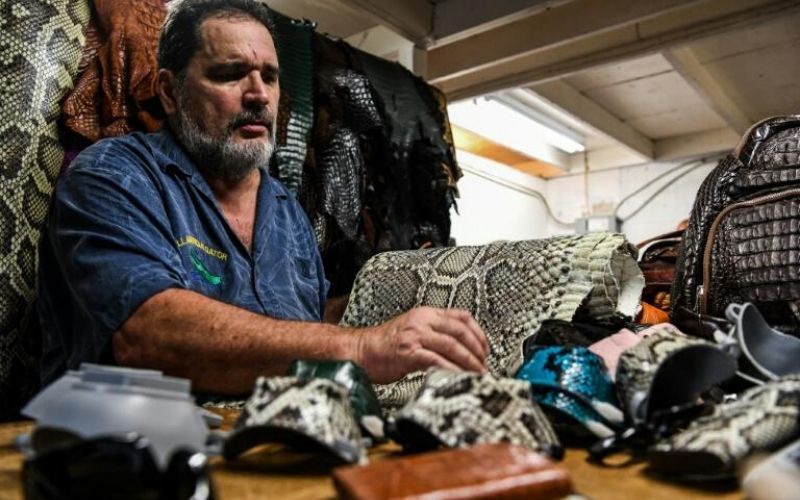 Un Américain fabrique des masques en peau de python ou d’iguane