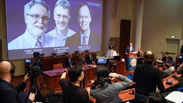 Deux Américains et un Britannique récompensés du prix Nobel de médecine