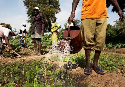 Nouvelle stratégie pour moderniser l’agriculture