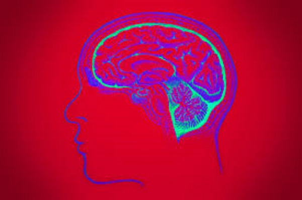 Selon des chercheurs, on a tous 2 horloges dans le cerveau capables de prédire l’avenir