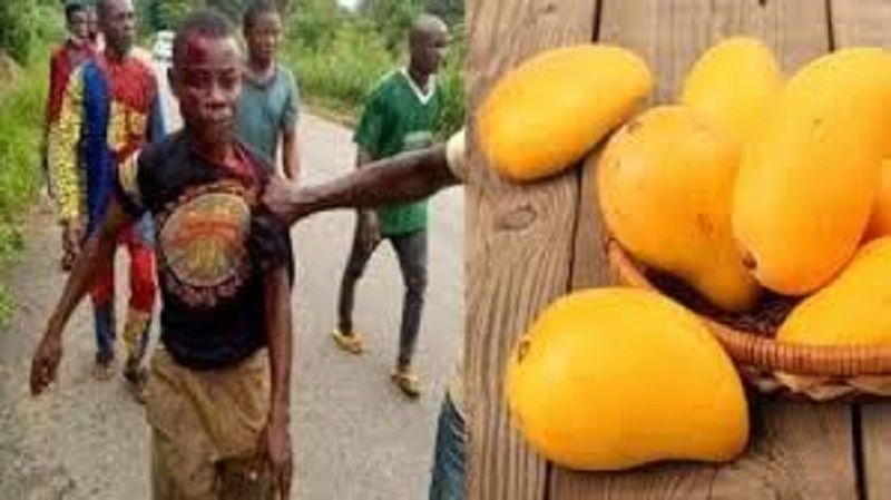 Nigeria : un homme tue son cousin pour des mangues