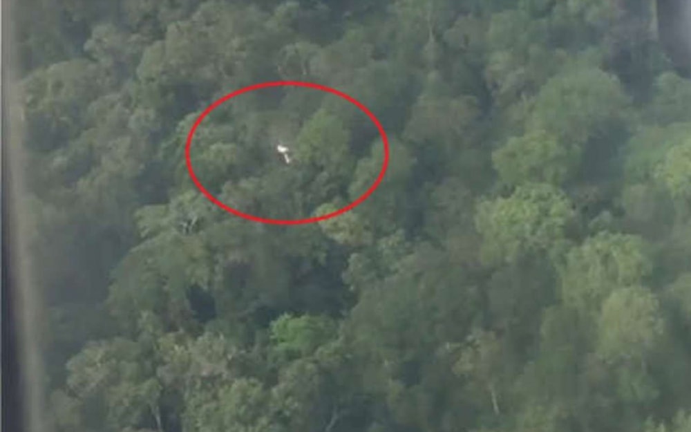 Amazonie : un pilote se pose sur les arbres et sauve ses trois passagers