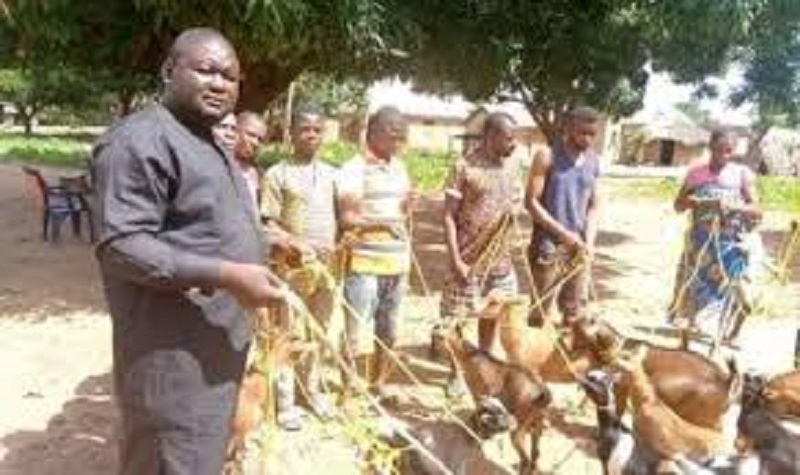 Nigeria : un politicien fait des dons de cordes à sa communauté pour attacher des chèvres (vidéo)
