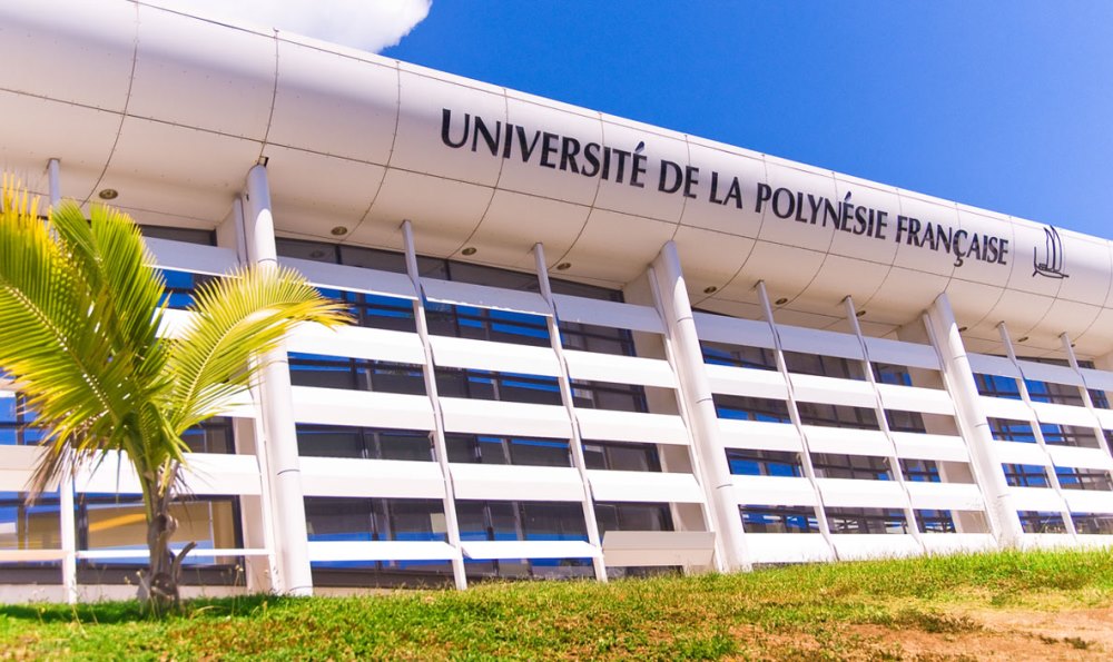 Insolite : Malgré une moyenne de 20.32 sur 20 au BAC, elle n’a été acceptée dans aucune des universités pour lesquelles elle a postulé