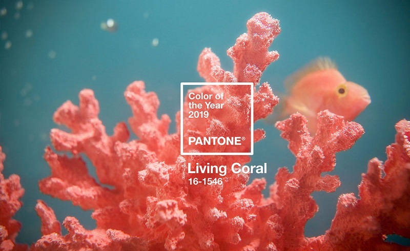 Voici la couleur de l’année 2019, selon Pantone