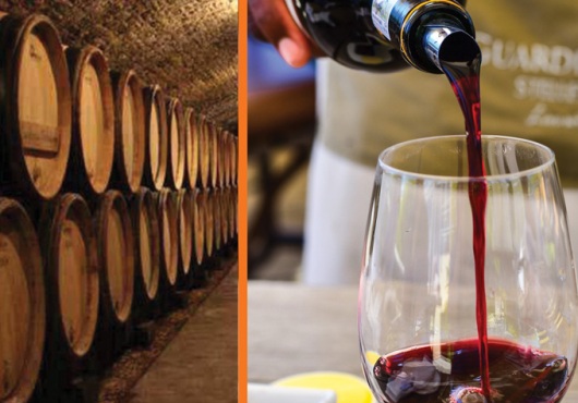 ‘Si le vin m’était conté’, l’IfT et ‘Route des Vins’ créent l’événement