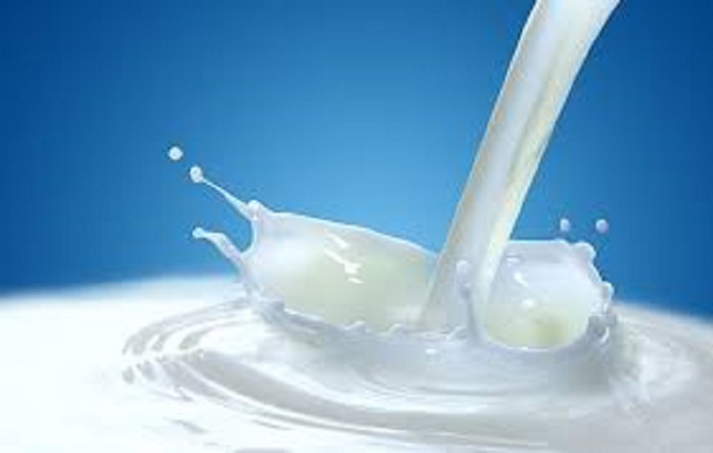 Curiosité : pourquoi le lait est-il de couleur blanche ?