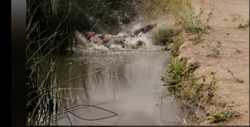 Il capture à mains nues un énorme crocodile et sème la panique sur la toile (vidéo)