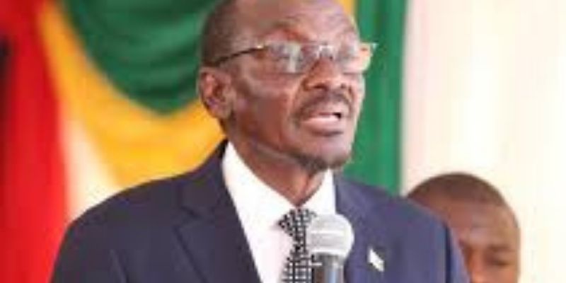 Zimbabwe : Le vice-président du pays abandonne le navire