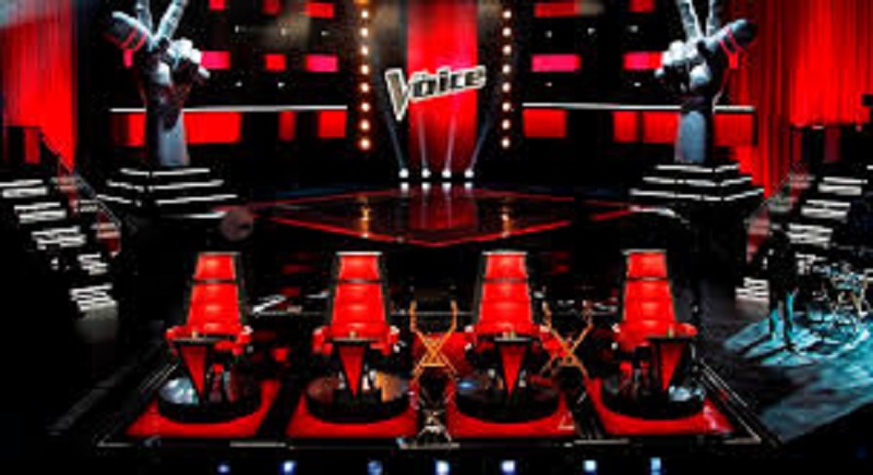 The Voice Afrique Francophone : voici le grand gagnant de la compétition (Photo)