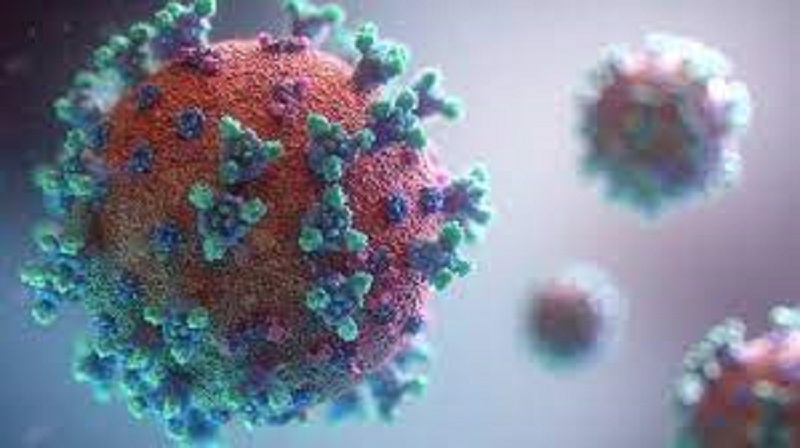 Comment le coronavirus a fait des milliardaires ?