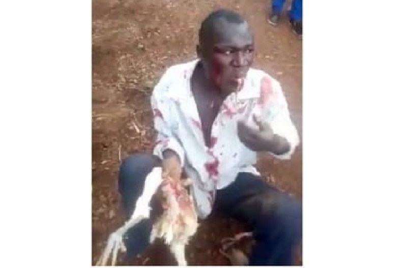 Insolite : un voleur contraint de manger un poulet vivant par une foule en colère (vidéo)