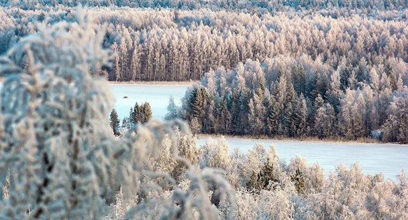 La Russie lance le programme de distribution gratuite des terres
