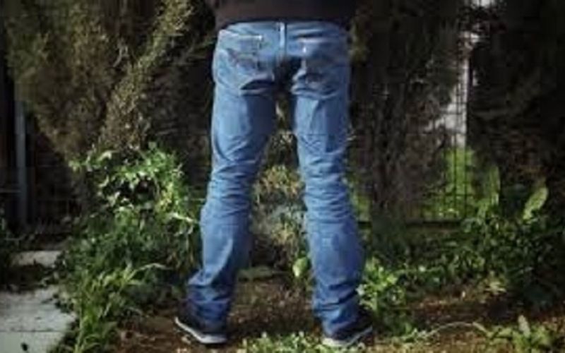 Il écope d’une amende de 80 mille FCFA pour avoir uriné dans un champ