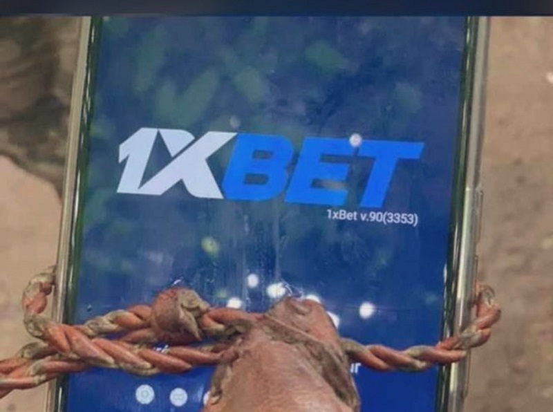 1XBET : « Personne ne peut gagner 13 milliards de F CFA », la société de paris sportifs brise enfin le silence et met en garde