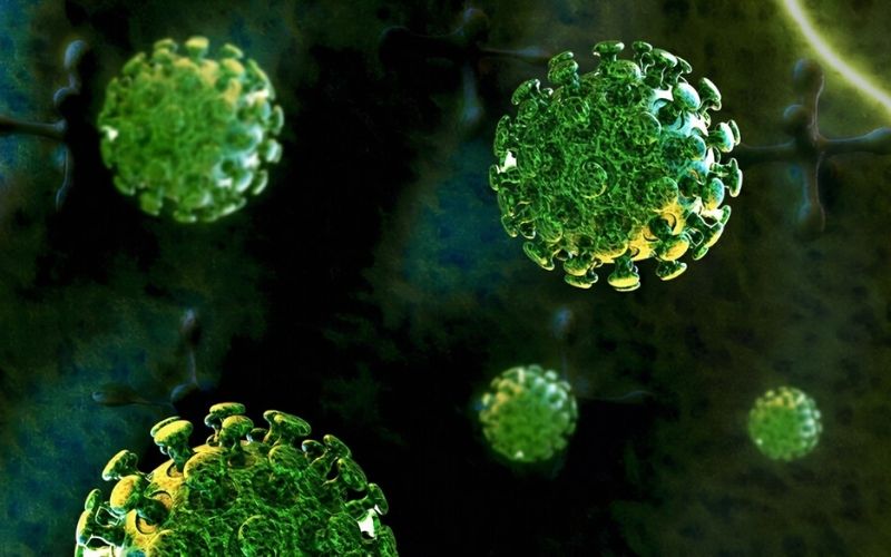 Environnement : plus 5500 virus inconnus découverts dans les océans ; faut-il craindre un nouveau désastre ?