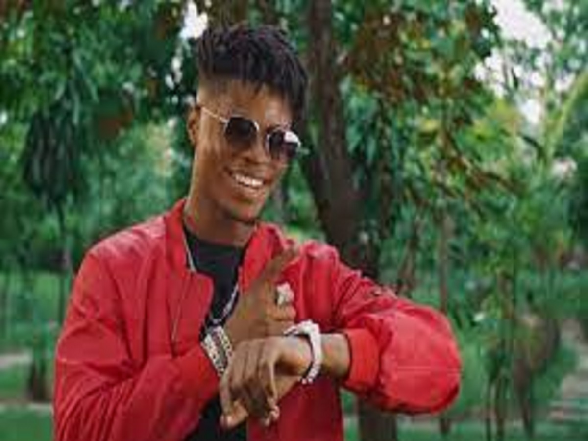 Santrinos Raphael : un fan surprend l’artiste avec la version kabyè de son hit « Maladie d’amour » à Kara, la vidéo renverse la toile !