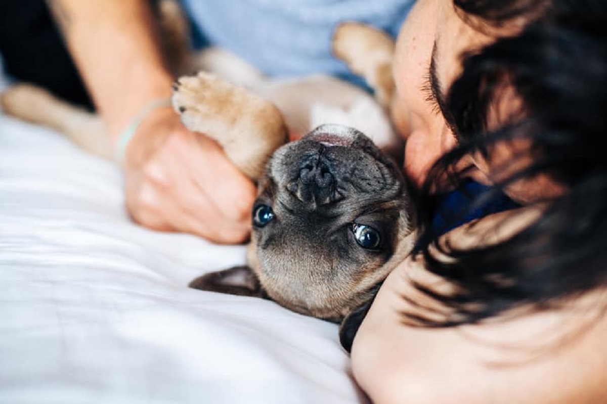 Voici 5 risques sanitaires des rapports sexuels avec des animaux