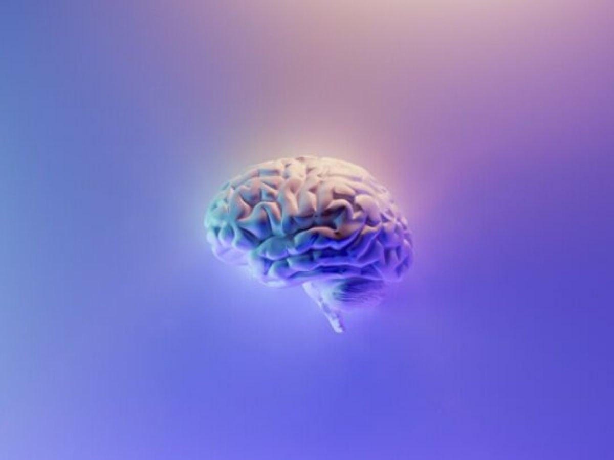 HPI : voici comment savoir si vous avez un haut potentiel intellectuel