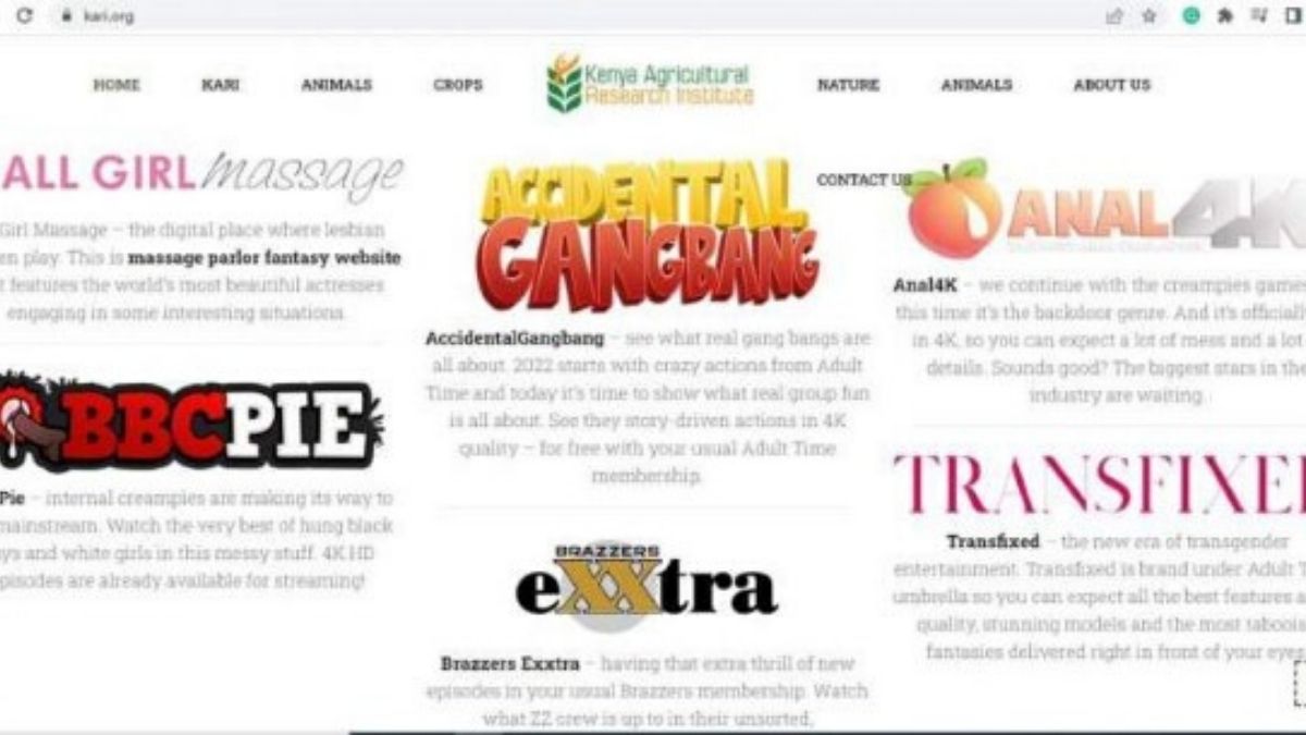Kenya : des pirates informatiques publient du contenu pornographique sur le site Web d’une agence gouvernementale