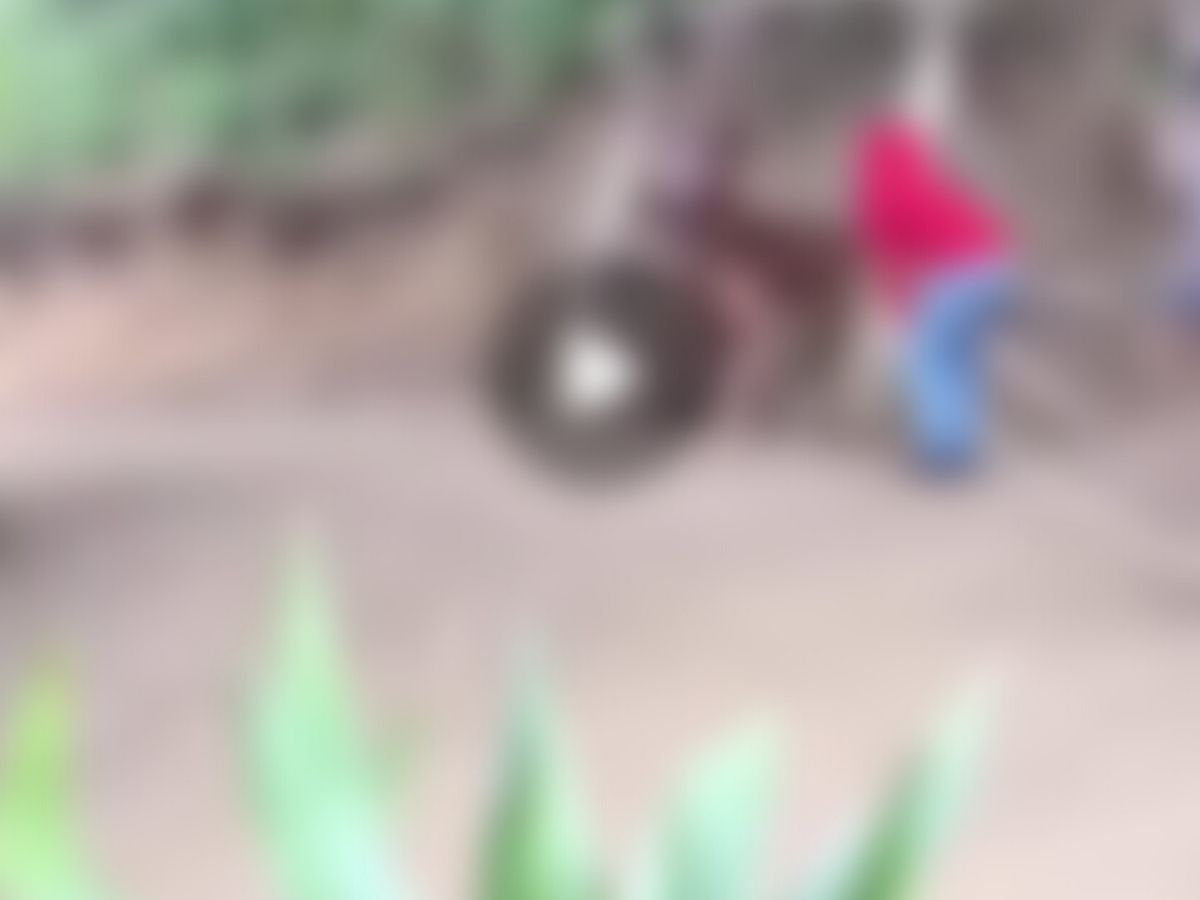 VIDÉO : un homme se filme en plein ébat sexuel avec un cheval et retourne la toile (âmes sensibles s’abstenir)